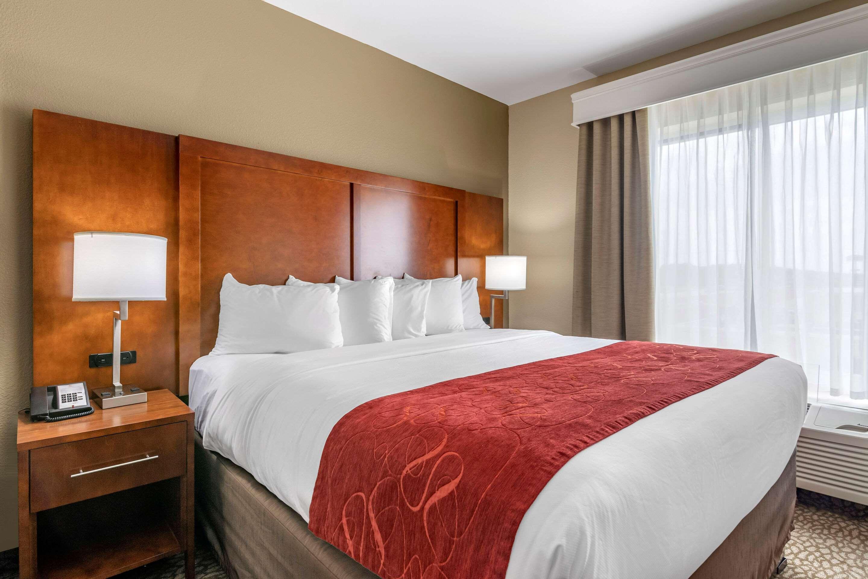 Comfort Suites Florence I-95 エクステリア 写真
